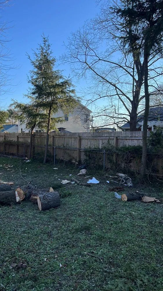 Top-rated landscaping services for beautiful yards in Municipio de Riverside, NJ by Jireh’s Tree Service & Landscaping