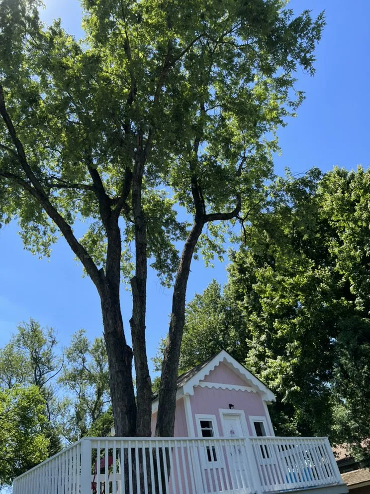 Affordable lawn mowing service in Municipio de Riverside, NJ by Jireh’s Tree Service & Landscaping