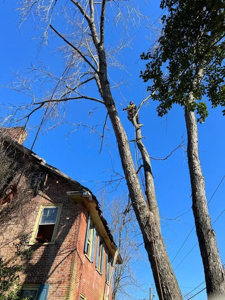 Trusted landscaping services in Municipio de Riverside, NJ by Jireh’s Tree Service & Landscaping
