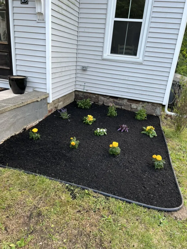 Affordable yard cleanup service in Municipio de Riverside, NJ by Jireh’s Tree Service & Landscaping