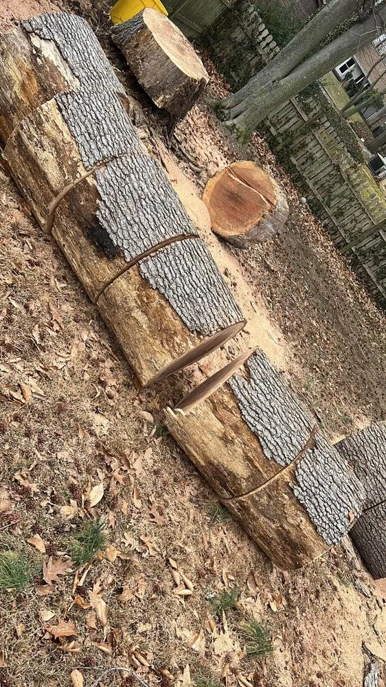 Expert garden landscaping in Municipio de Riverside, NJ by Jireh’s Tree Service & Landscaping