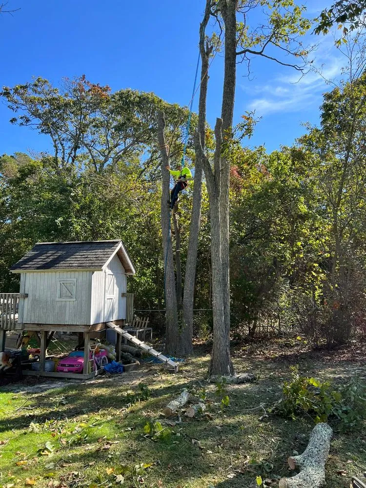 Reliable outdoor landscaping in Municipio de Riverside, NJ by Jireh’s Tree Service & Landscaping