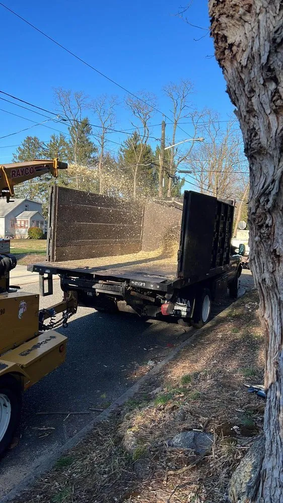 Affordable lawn care service experts serving Municipio de Riverside, NJ - Jireh’s Tree Service & Landscaping
