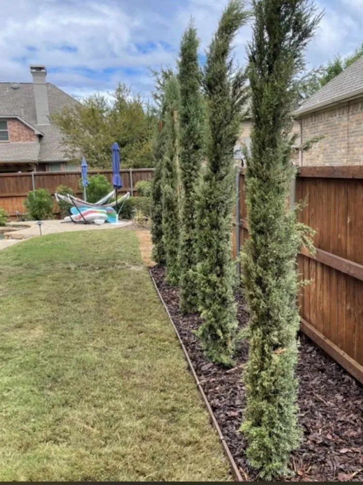 Professional yard maintenance for outdoor upgrades across McKinney, TX - JIT Landscape and Design