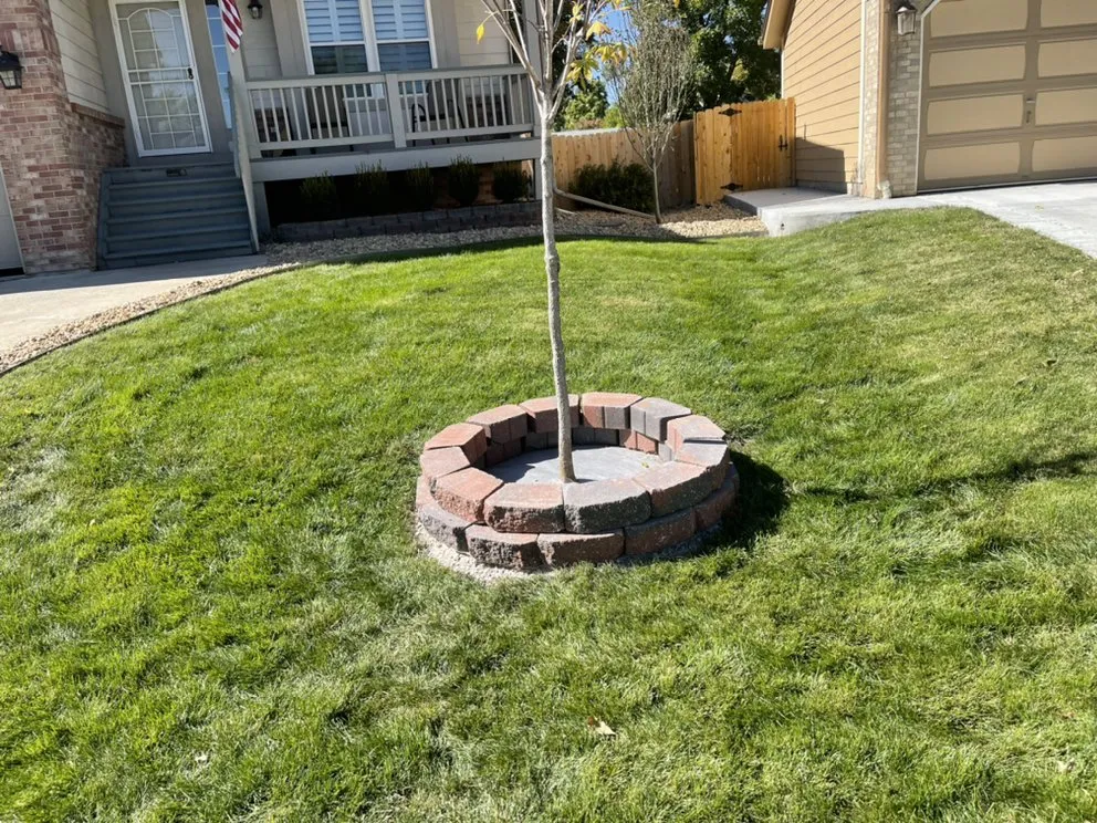 Reliable landscape design for homes across McKinney, TX - JIT Landscape and Design