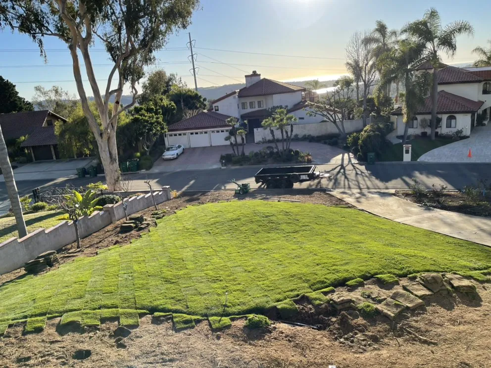 Expert yard maintenance in McKinney, TX - JIT Landscape and Design