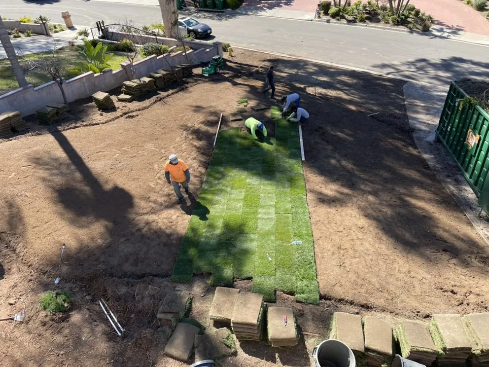 Top-rated lawn care service in McKinney, TX by JIT Landscape and Design