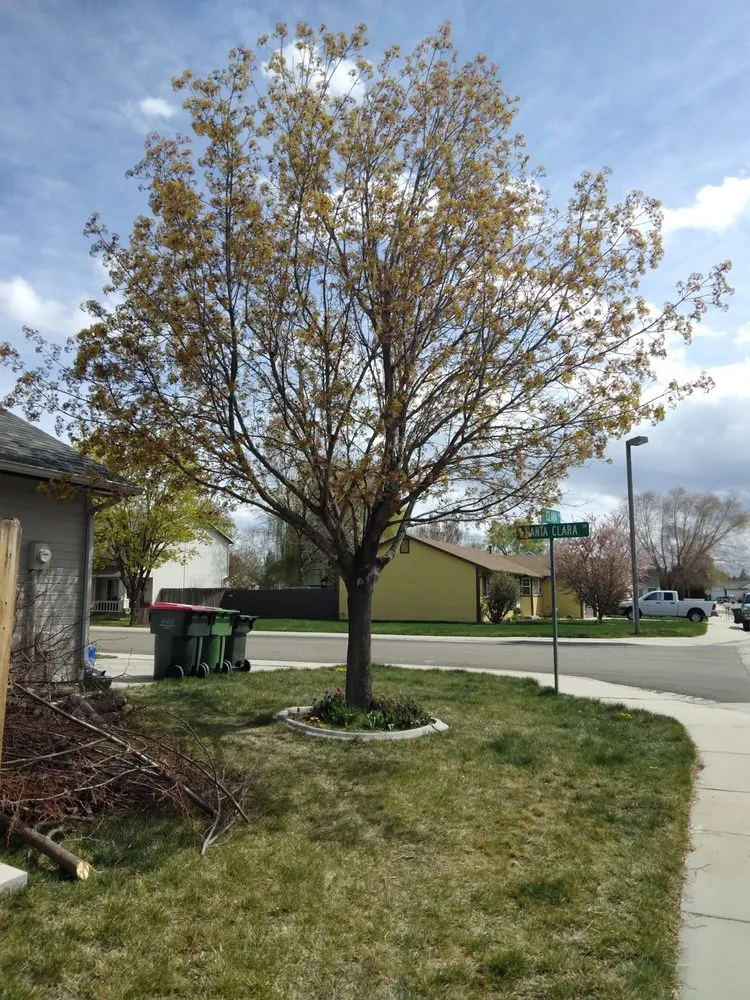 Professional lawn care service with custom design in Caldwell, ID by JIT Works