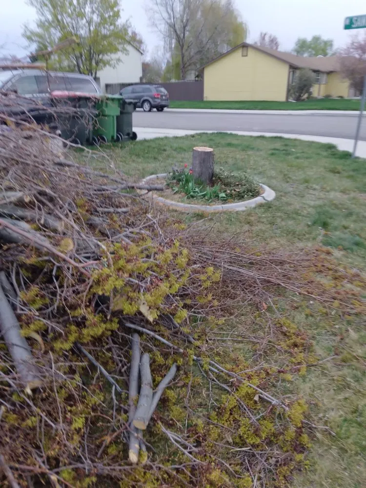 Custom lawn mowing service with custom design across Caldwell, ID - JIT Works