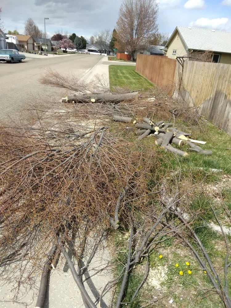 Expert lawn care service in Caldwell, ID - JIT Works