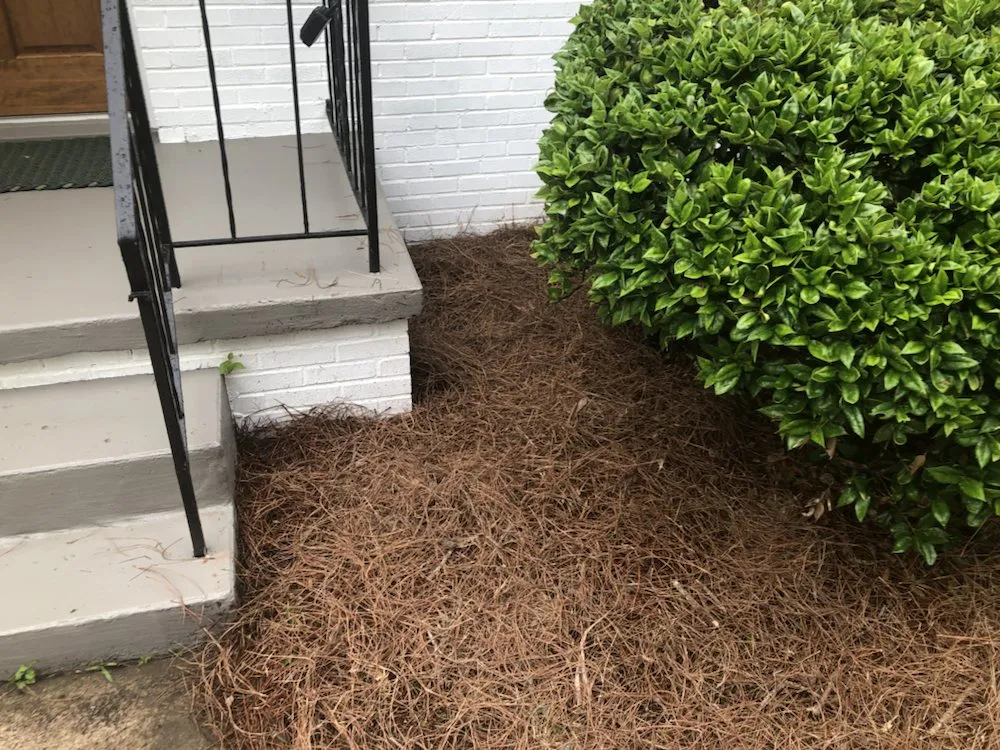 Reliable landscape design experts serving Decatur, GA - J&J Affordable Lawn Service