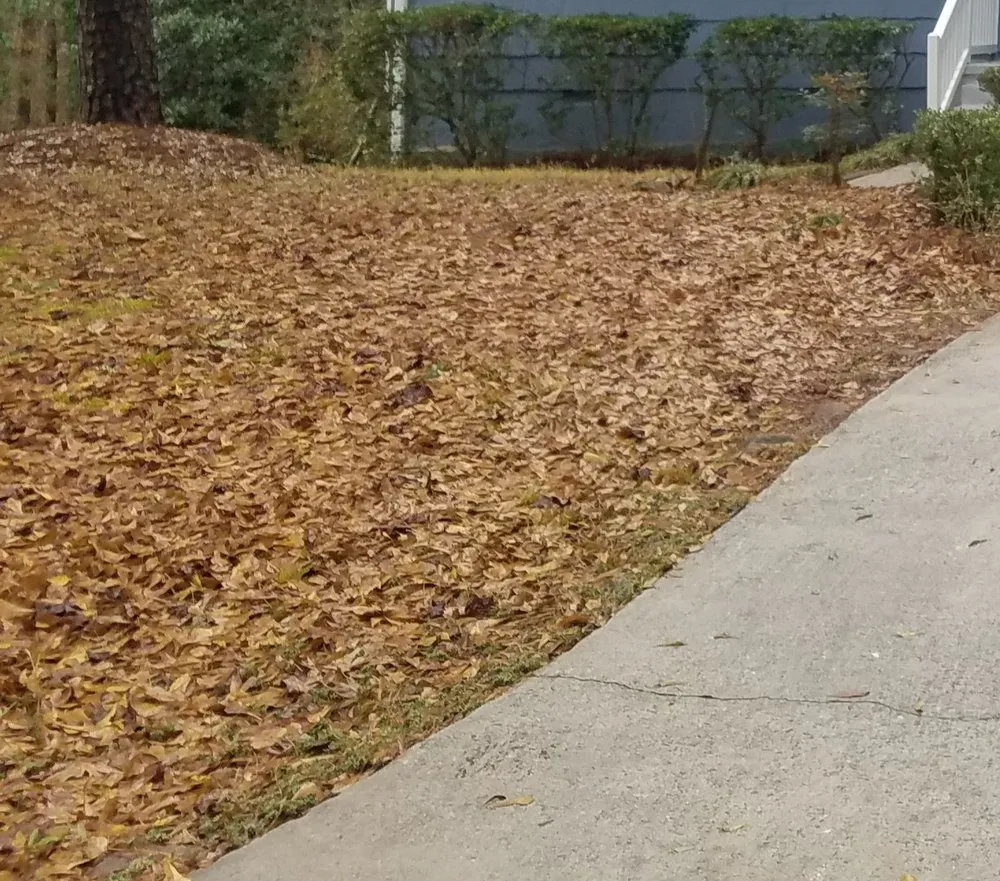 Top-rated landscape installation in Decatur, GA by J&J Affordable Lawn Service