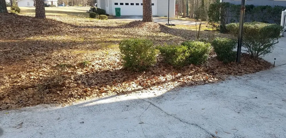 Custom lawn care service in Decatur, GA by J&J Affordable Lawn Service