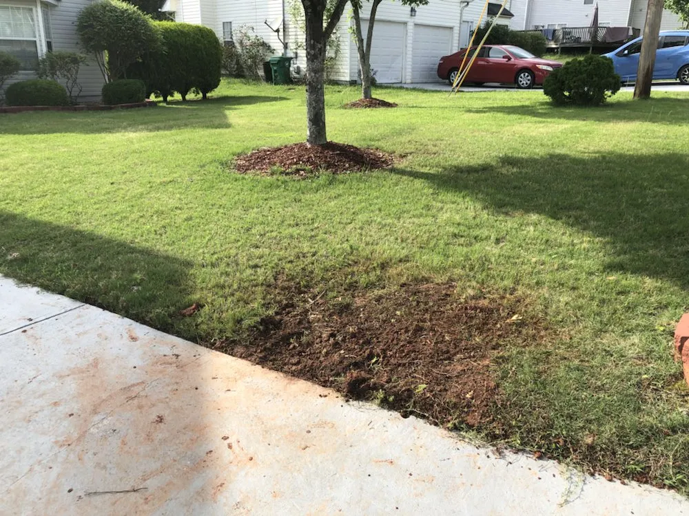 Trusted residential landscaping experts serving Decatur, GA - J&J Affordable Lawn Service