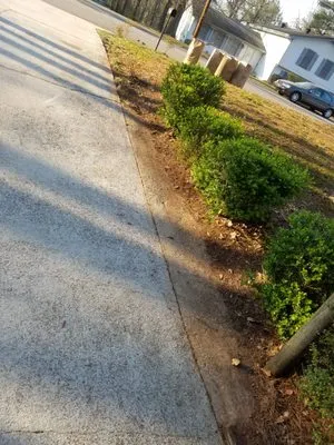 J&J Affordable Lawn Service