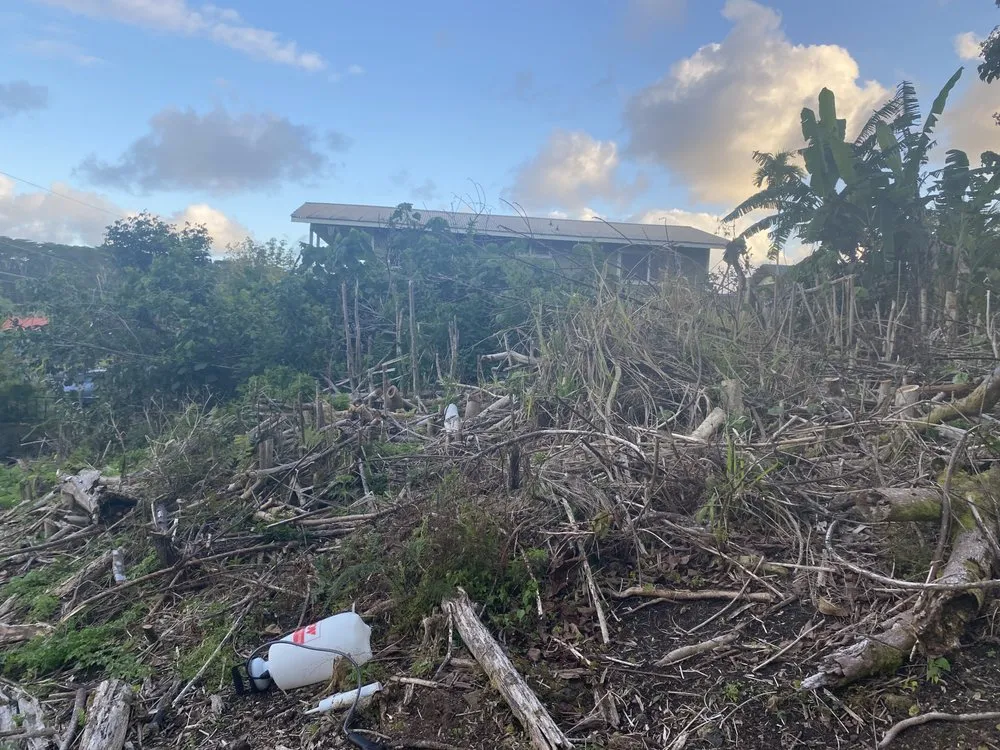 Trusted lawn mowing service in Mountain View, HI by J&J Any Kine Any Time