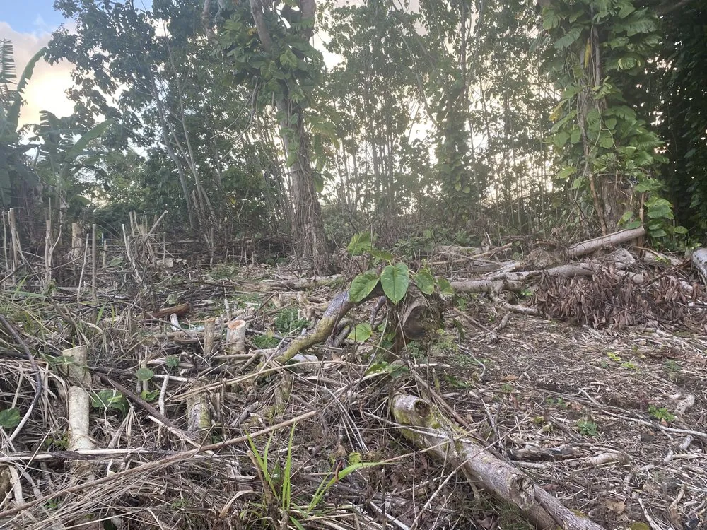 Trusted landscape installation for residential properties across Mountain View, HI - J&J Any Kine Any Time