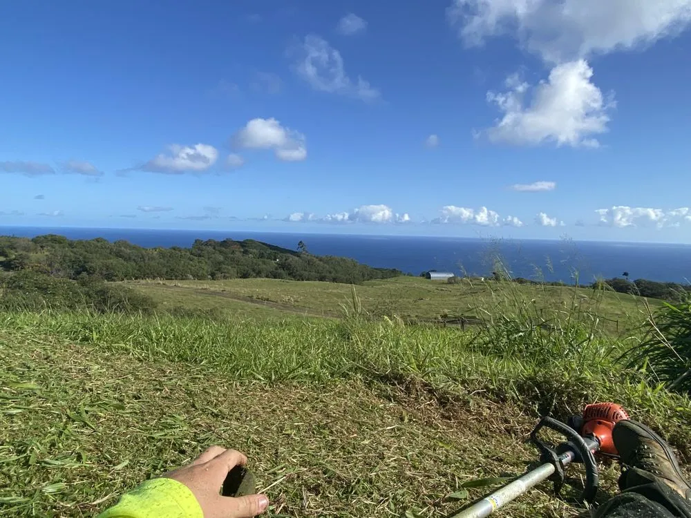 Professional landscape design in Mountain View, HI by J&J Any Kine Any Time