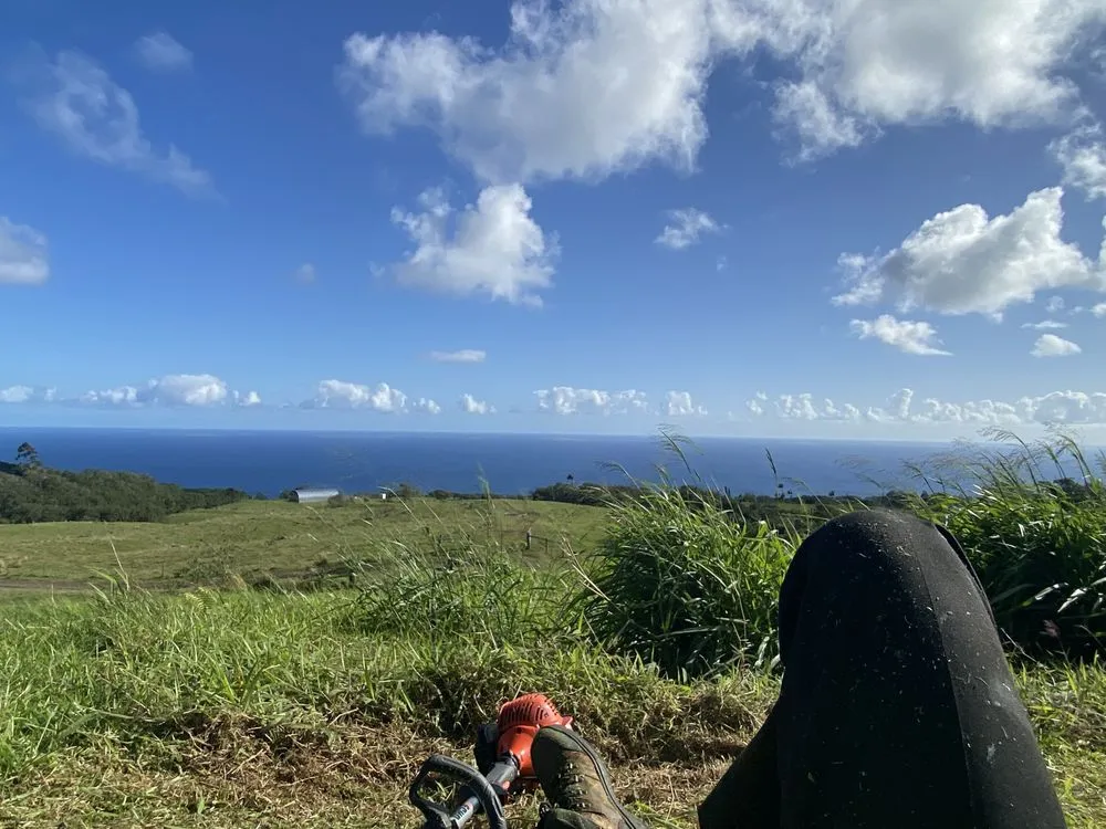 Affordable yard cleanup service in Mountain View, HI by J&J Any Kine Any Time