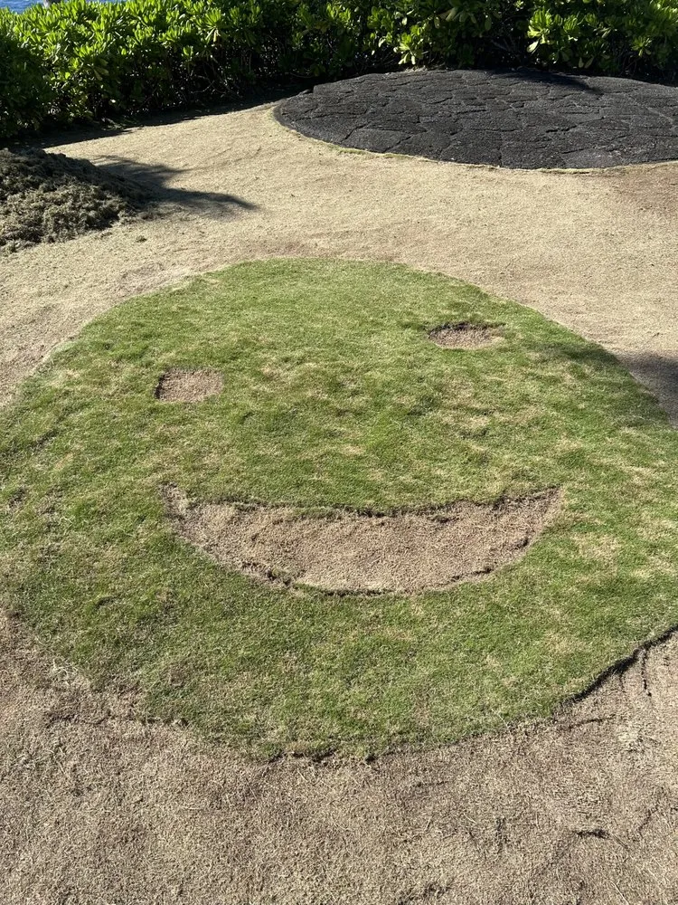 Top-rated yard cleanup service in Mountain View, HI by J&J Any Kine Any Time