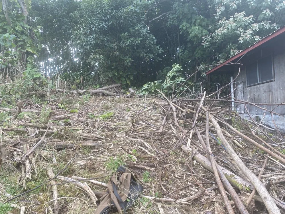 Trusted outdoor landscaping for beautiful yards across Mountain View, HI - J&J Any Kine Any Time