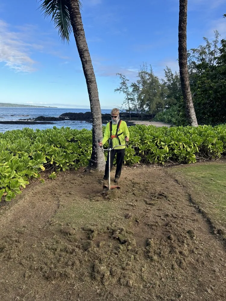 Professional landscape installation with custom design in Mountain View, HI by J&J Any Kine Any Time