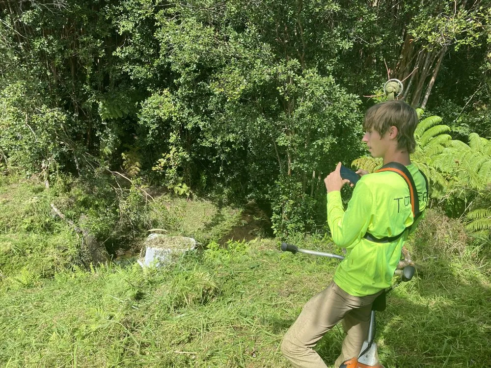 Custom landscaping services in Mountain View, HI - J&J Any Kine Any Time