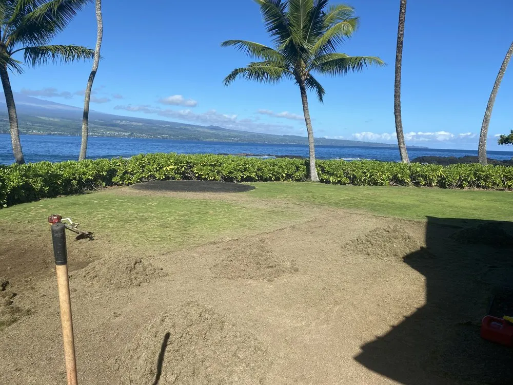 Affordable garden landscaping for homes across Mountain View, HI - J&J Any Kine Any Time