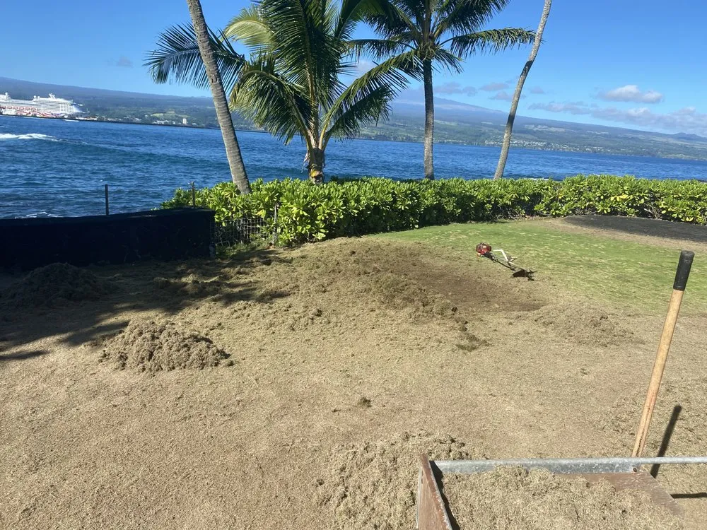 Trusted landscaping services in Mountain View, HI - J&J Any Kine Any Time