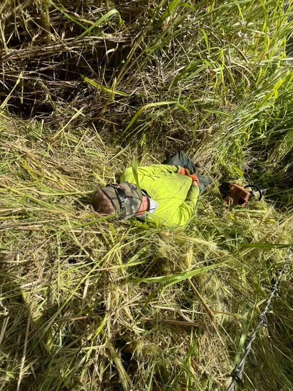 Trusted landscape design for homes across Mountain View, HI - J&J Any Kine Any Time