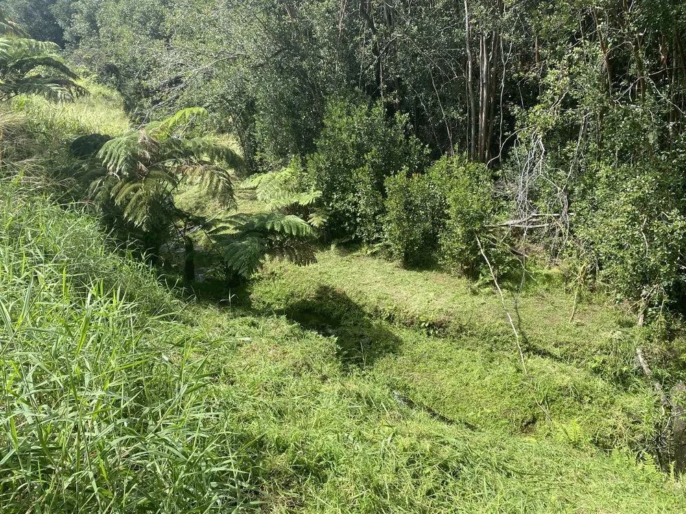 Trusted outdoor landscaping in Mountain View, HI - J&J Any Kine Any Time