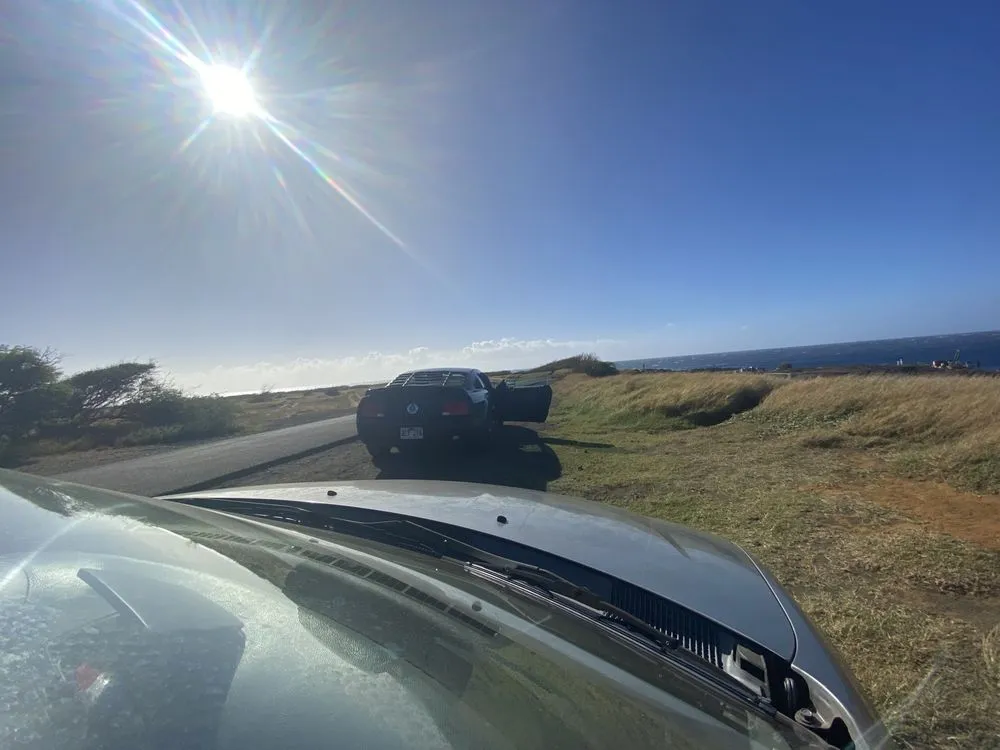 Trusted landscaping services in Mountain View, HI by J&J Any Kine Any Time