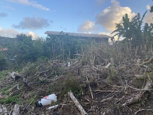 J&J Any Kine Any Time