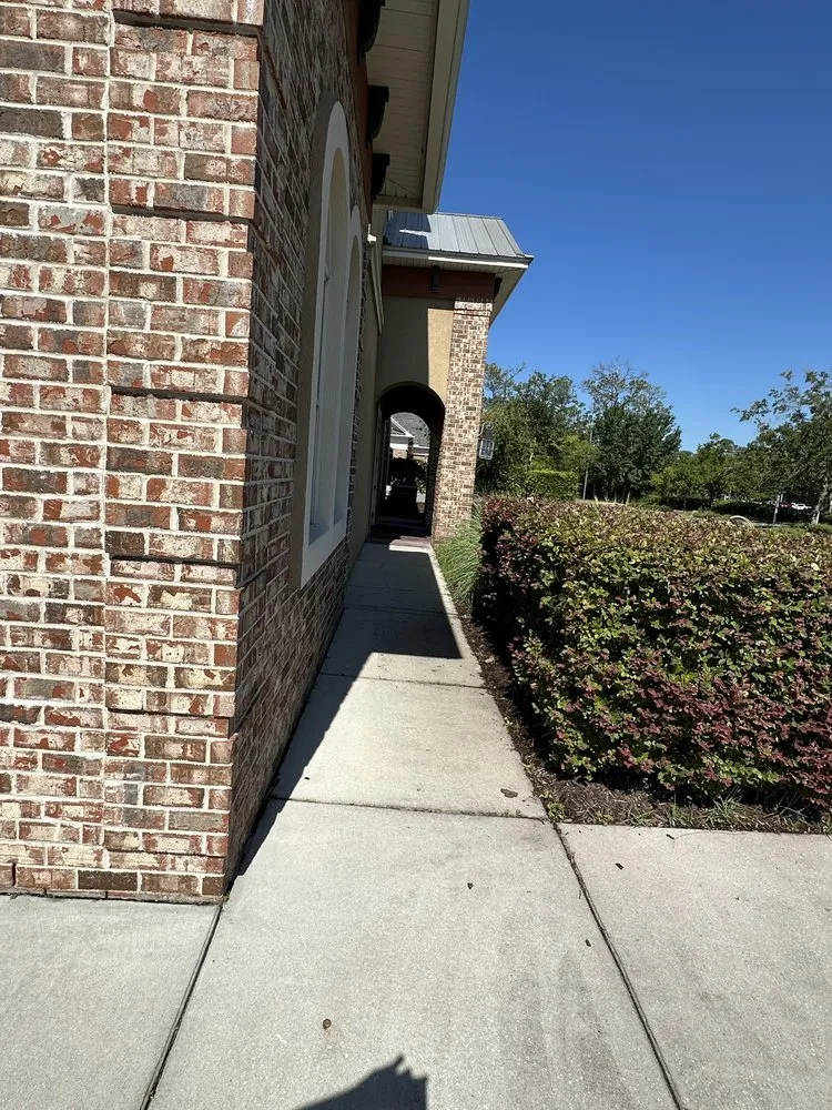 Expert yard cleanup service experts serving Jacksonville, FL - JJ BB Services Inc