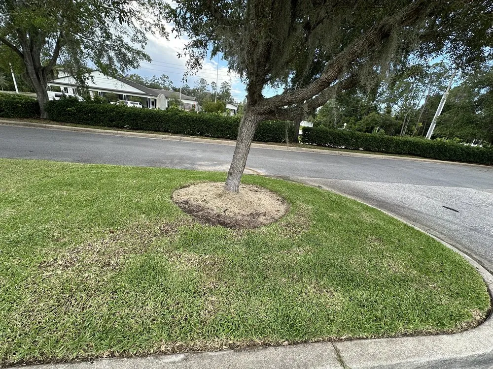 Custom lawn mowing service with custom design in Jacksonville, FL by JJ BB Services Inc