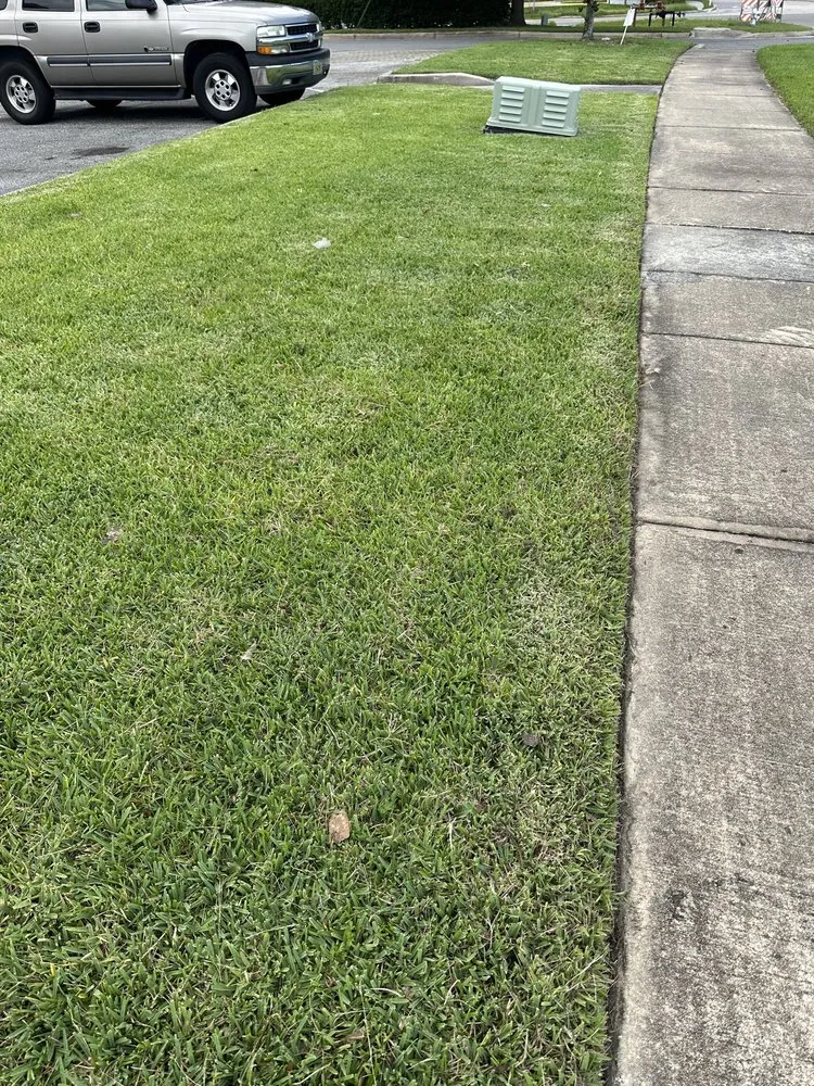 Trusted yard cleanup service in Jacksonville, FL by JJ BB Services Inc