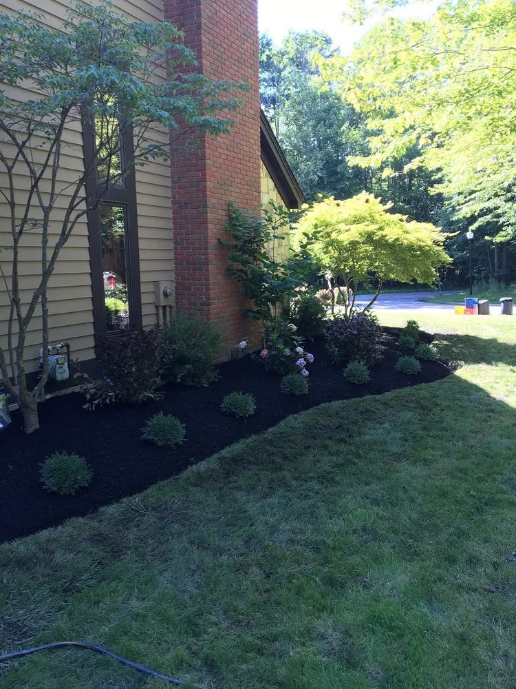 Top-rated yard cleanup service in Lakewood, NY by J&J Brothers Outdoor Services