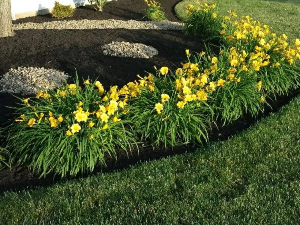 Affordable outdoor landscaping for residential properties in Macon, GA by J&J Cleaning and Lawn Service