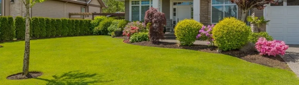 Trusted landscaping services in Macon, GA by J&J Cleaning and Lawn Service