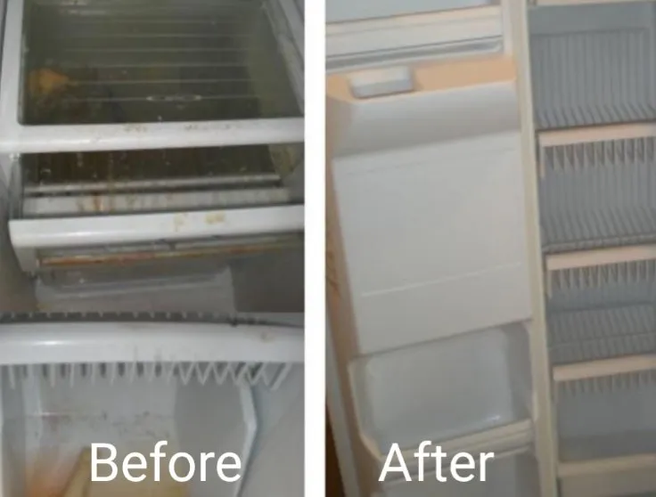 Expert landscaping services experts serving Macon, GA - J&J Cleaning and Lawn Service