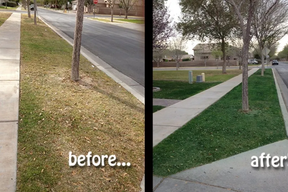 Reliable landscape installation experts serving Macon, GA - J&J Cleaning and Lawn Service