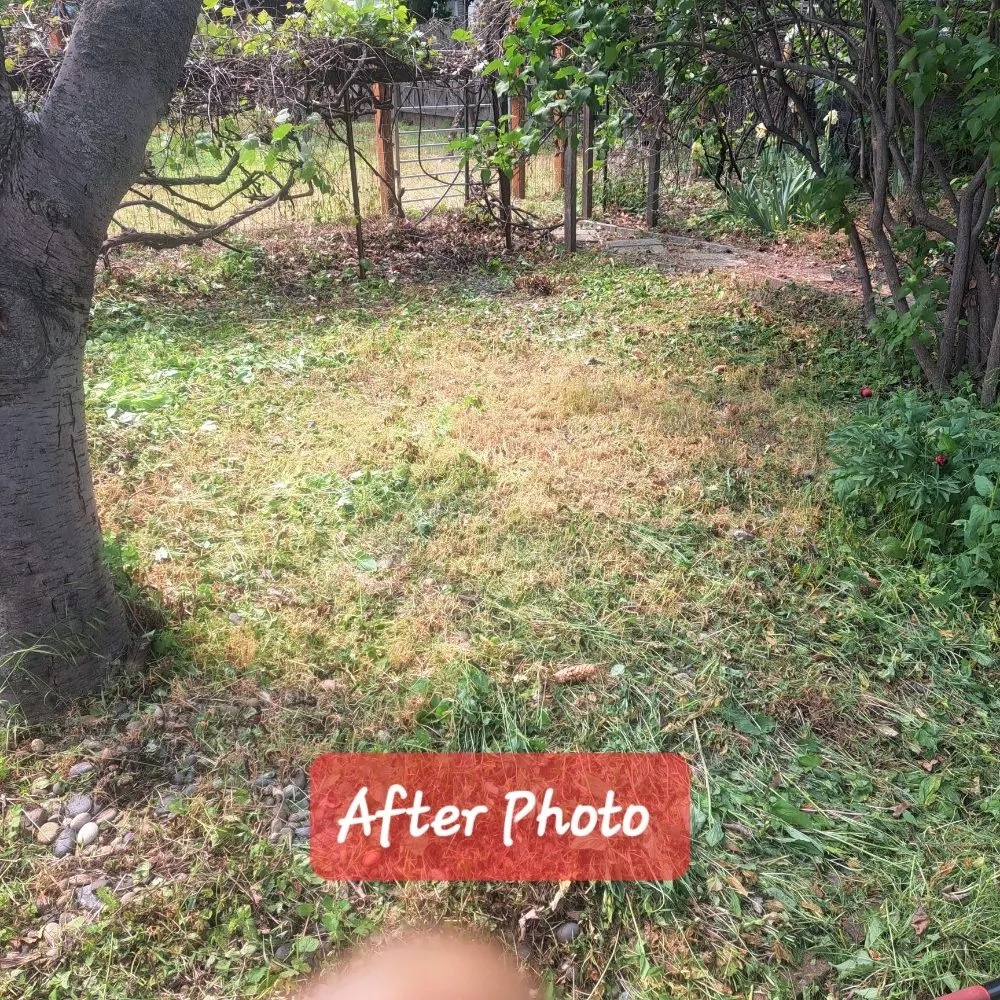 Professional lawn mowing service in Lewiston, ID by J&J Cleaning Service