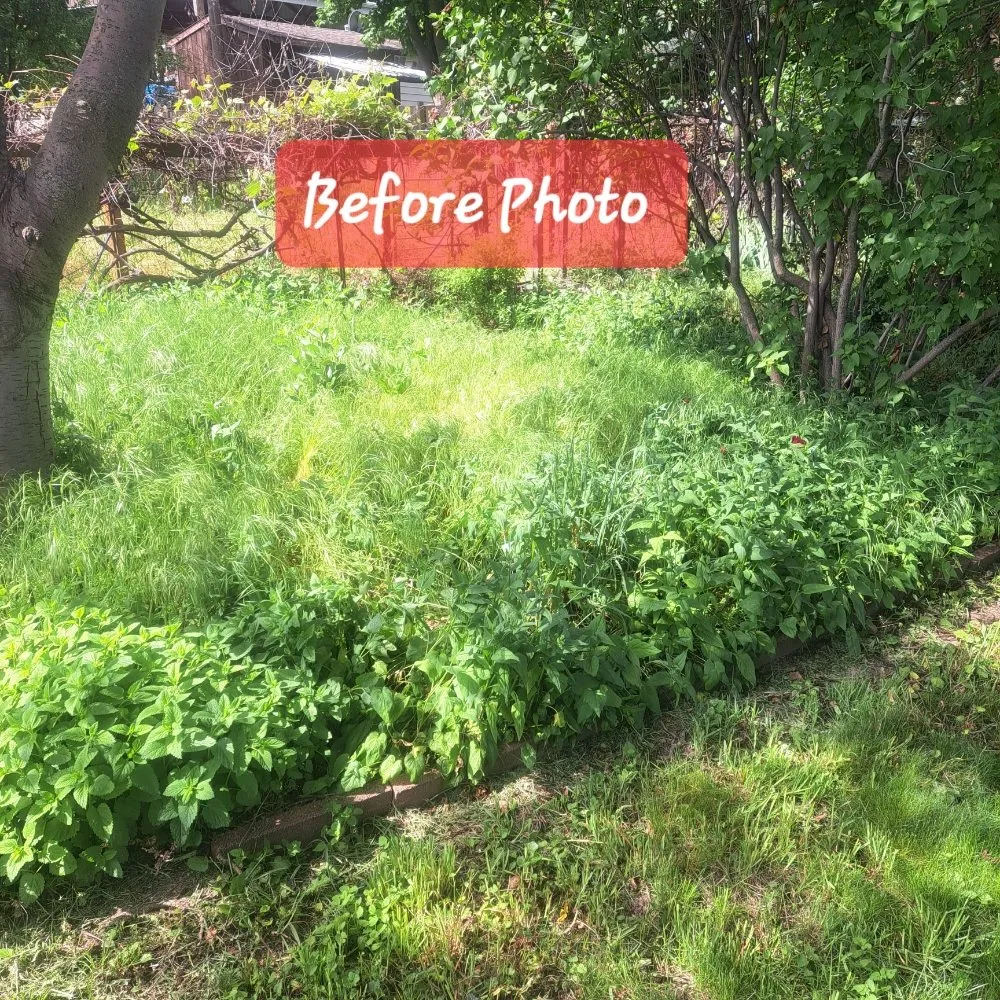 Custom landscape design in Lewiston, ID by J&J Cleaning Service