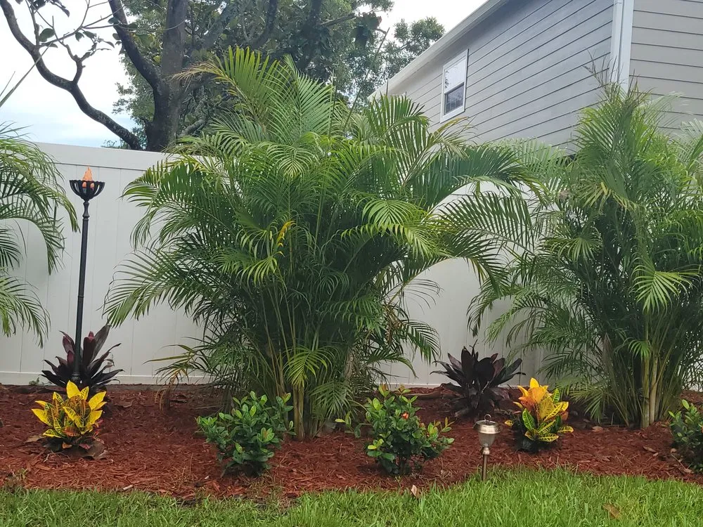 Reliable lawn care service experts serving Largo, FL - JJ Complete Lawn Service