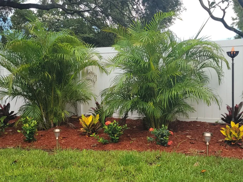 Custom residential landscaping in Largo, FL by JJ Complete Lawn Service