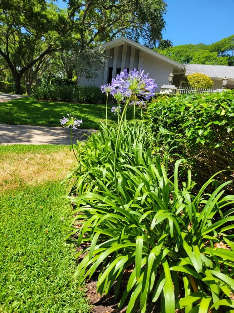 Professional residential landscaping with custom design in Largo, FL by JJ Complette Lawn and Service