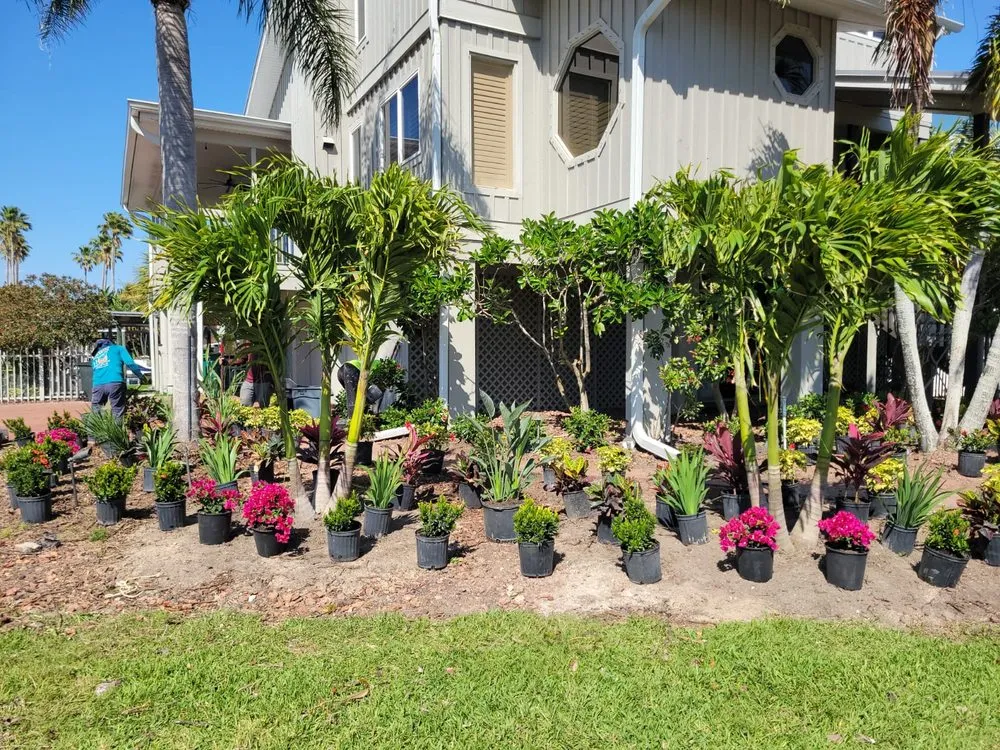 Local lawn care service in Largo, FL by JJ Complette Lawn and Service