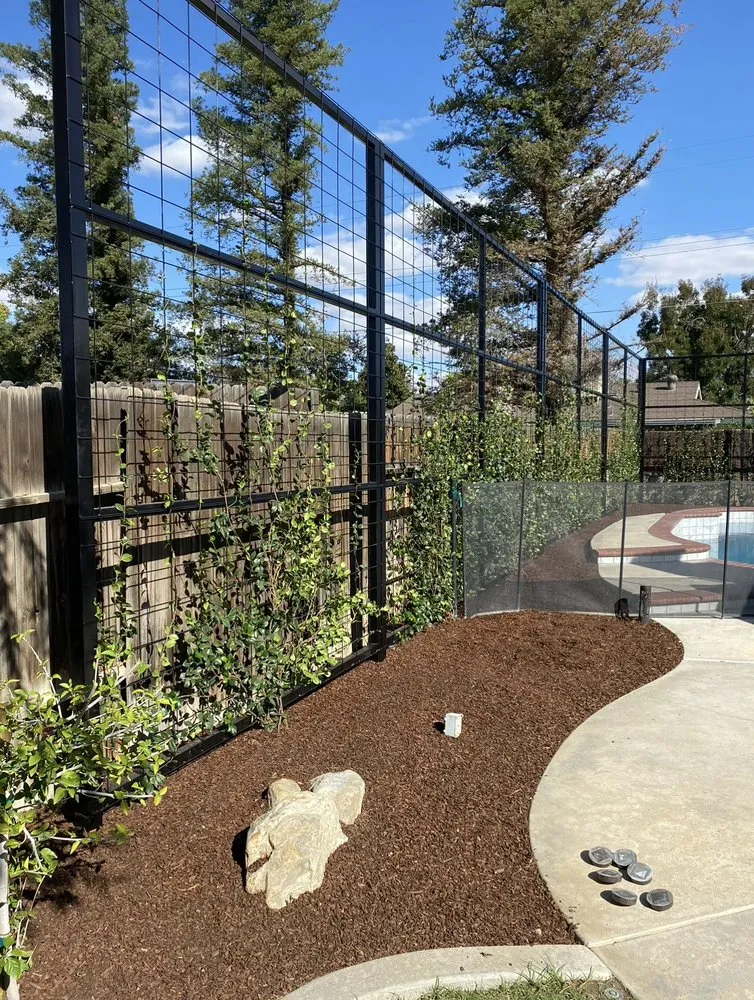 Affordable yard cleanup service for outdoor upgrades in Bakersfield, CA by JJ Concrete & Landscaping