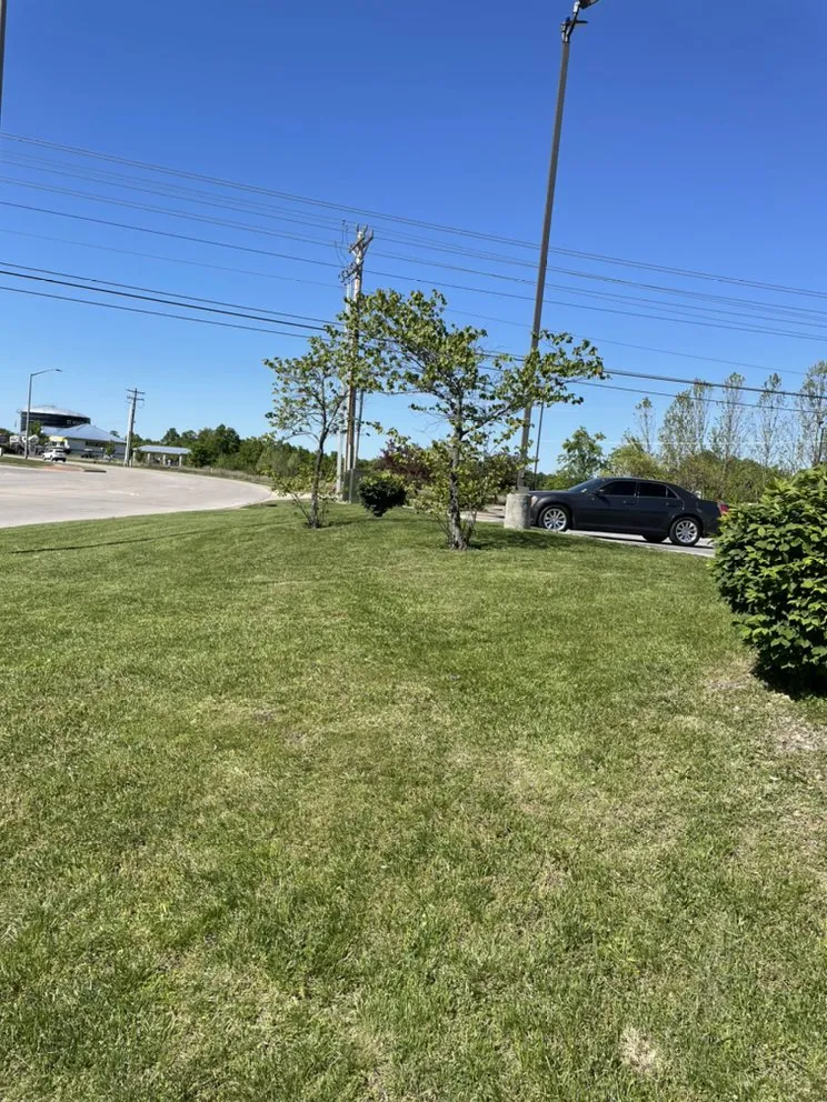 Trusted yard maintenance in Laquey, MO - J&J Disaster Services