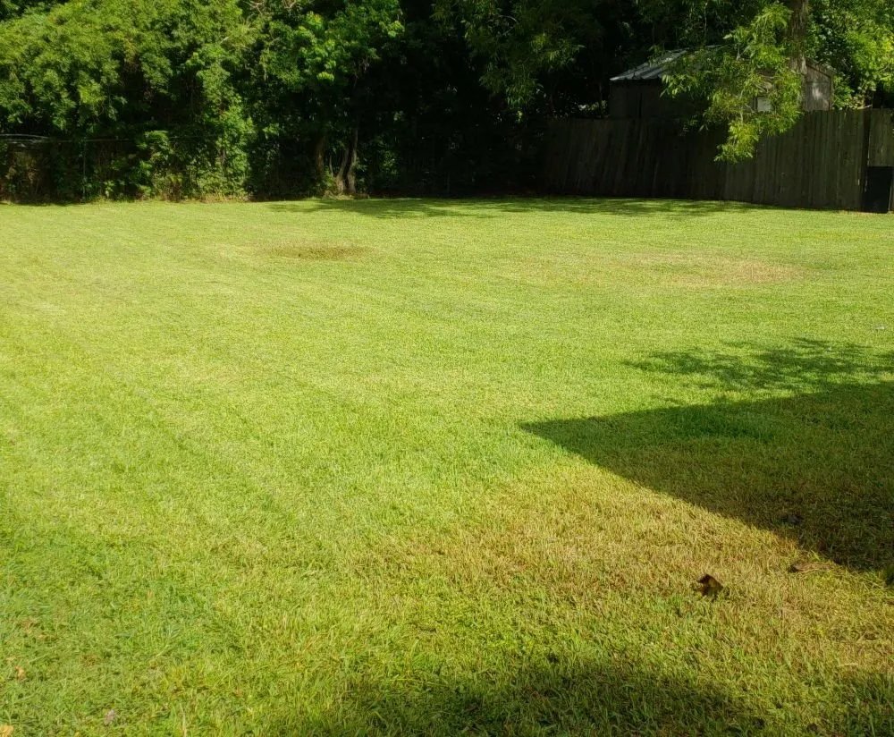 Trusted garden landscaping in Houston, TX by Jj Earthcare